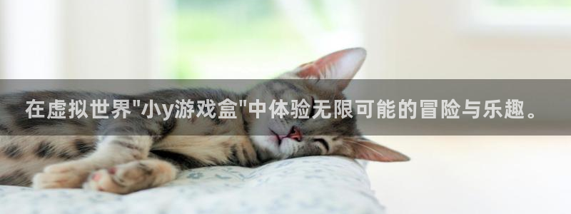 在虚拟世界\
