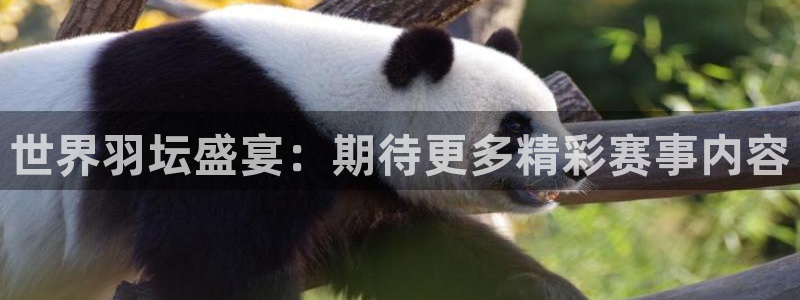 nba直播吧小九直播